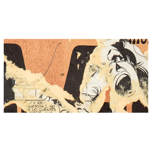 Pictorial Metaphor 1 Curated Fragment