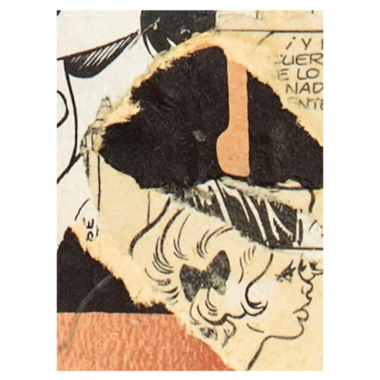 Pictorial Metaphor 3 Curated Fragment